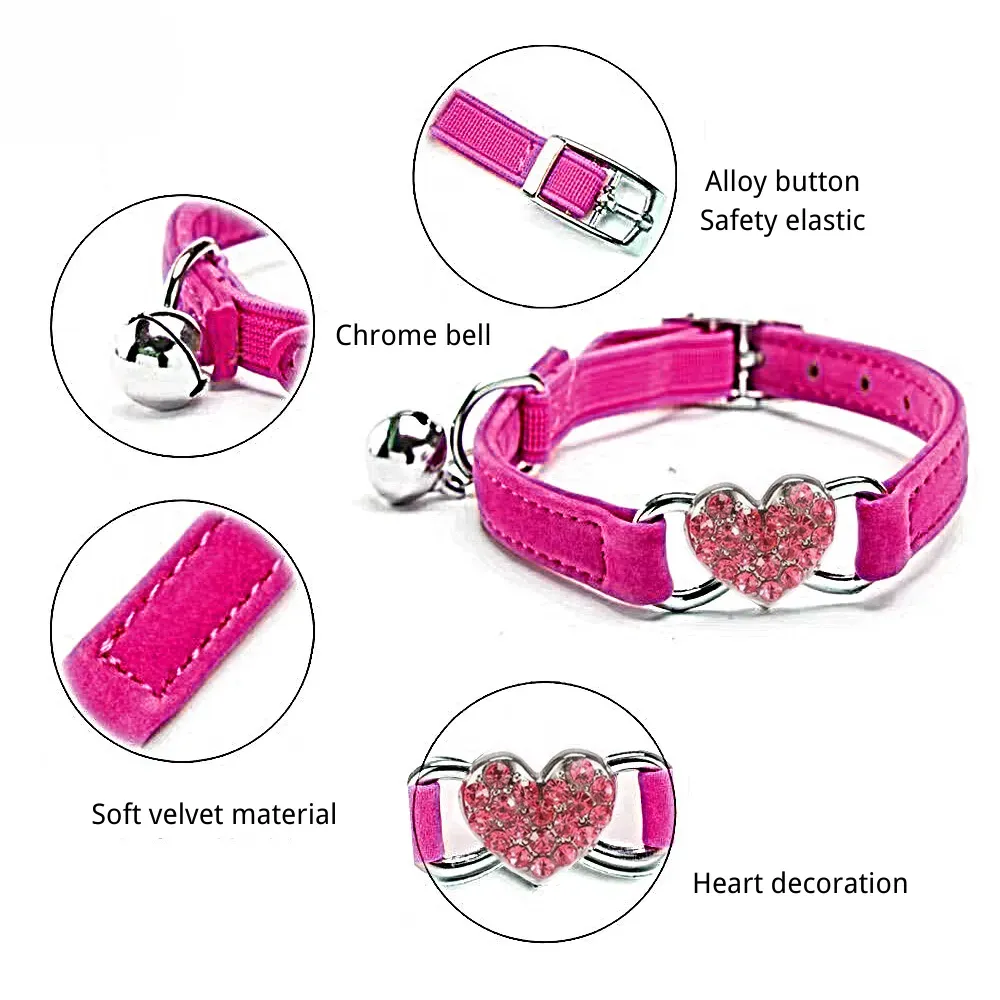 Cat Collar with Safety Belt Cat Collar with Safety Belt