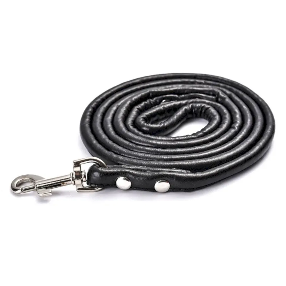 black pet leash