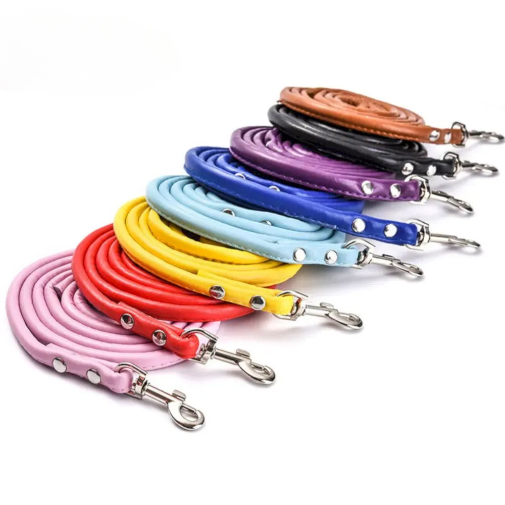 pet leash