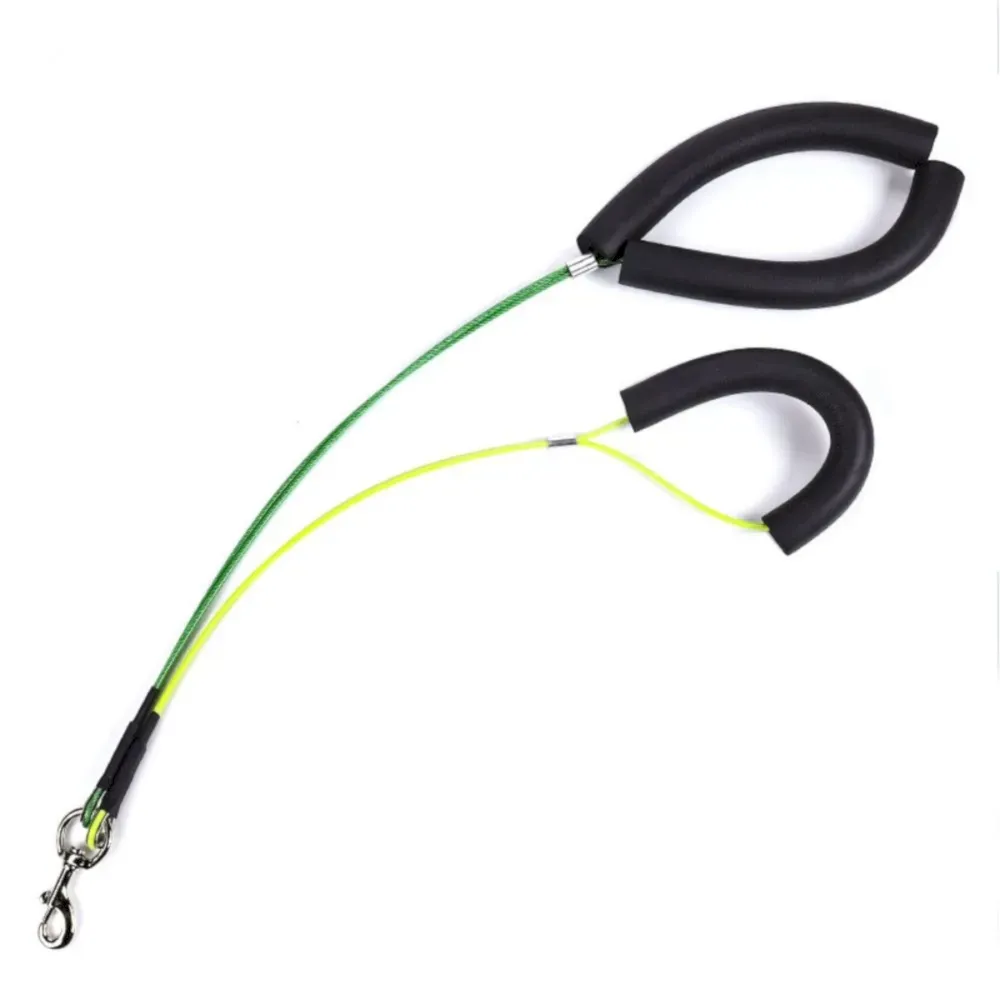 green dog grooming table leash