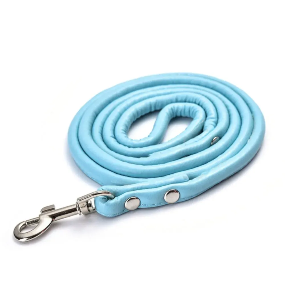 light blue pet leash
