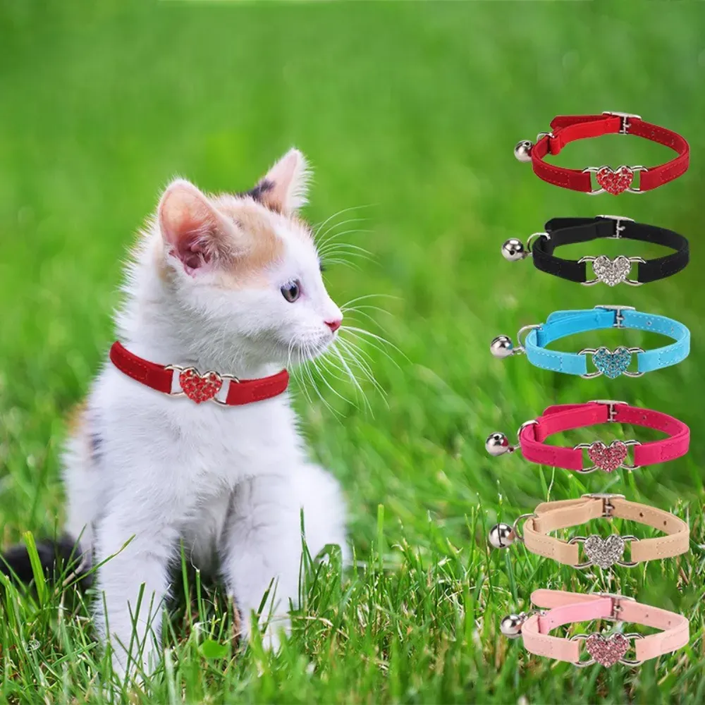 Cat Collar with Safety Belt and Bell Cat Collar with Safety Belt and Bell