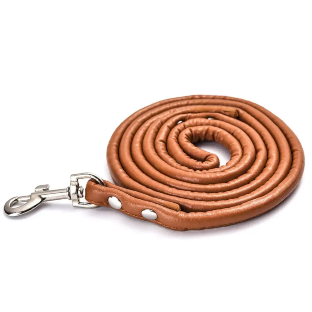 coffee pet leash
