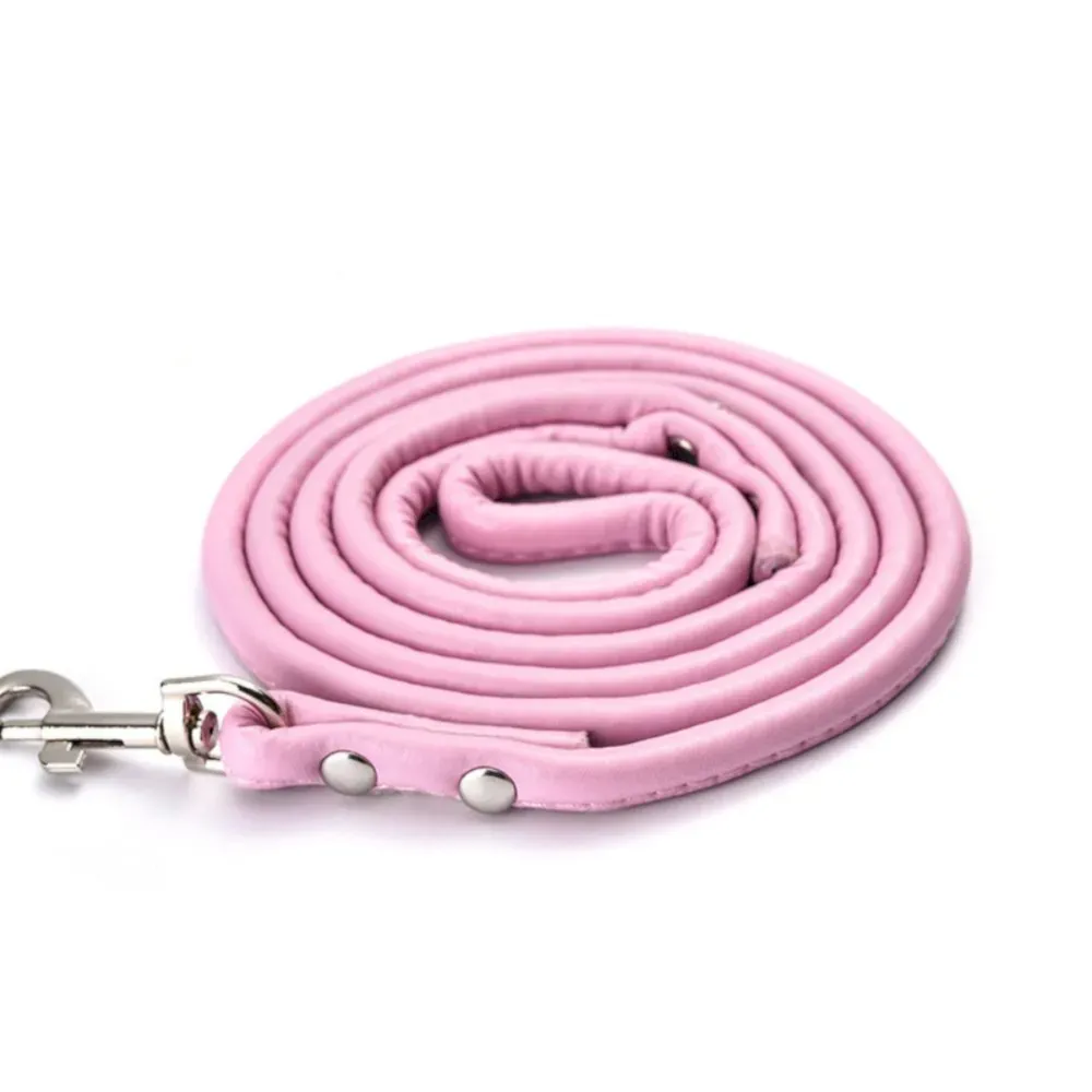 pink pet leash