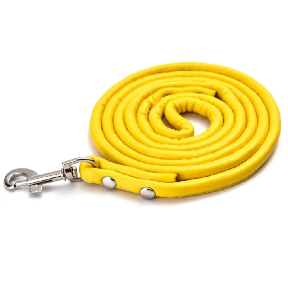 yellow pet leash