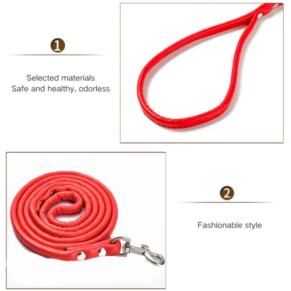 pet leash bulk