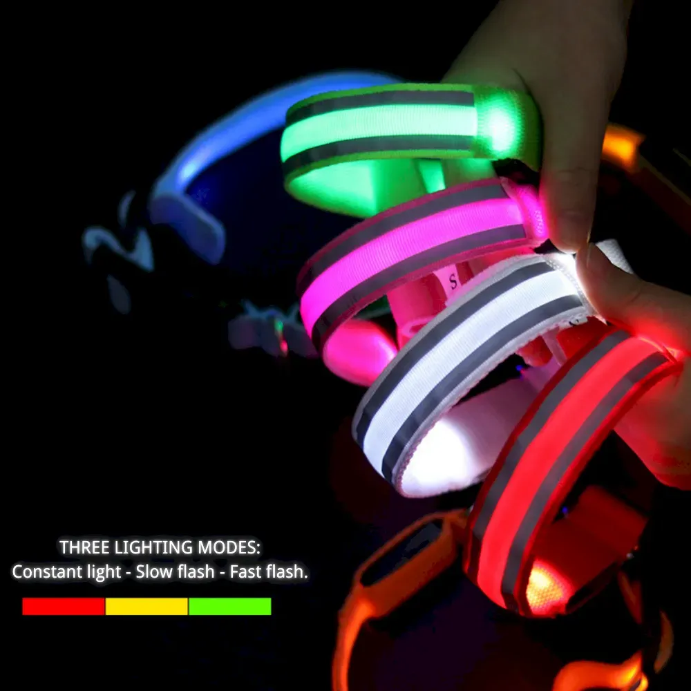 Outdoor dog collar with light