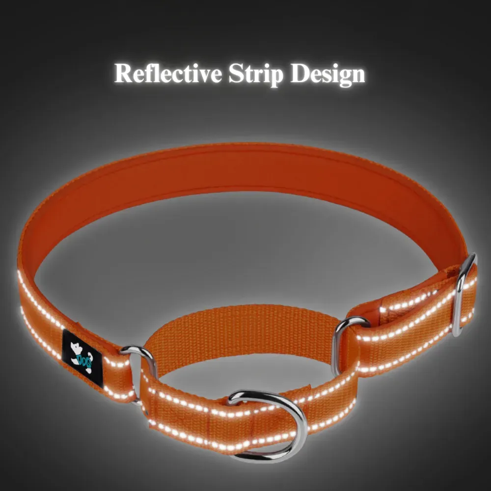 Featuring rust-resistant alloy hardware, this collar ensures longevity and durability, making it a strong and reliable product for businesses seeking long-lasting pet accessories.