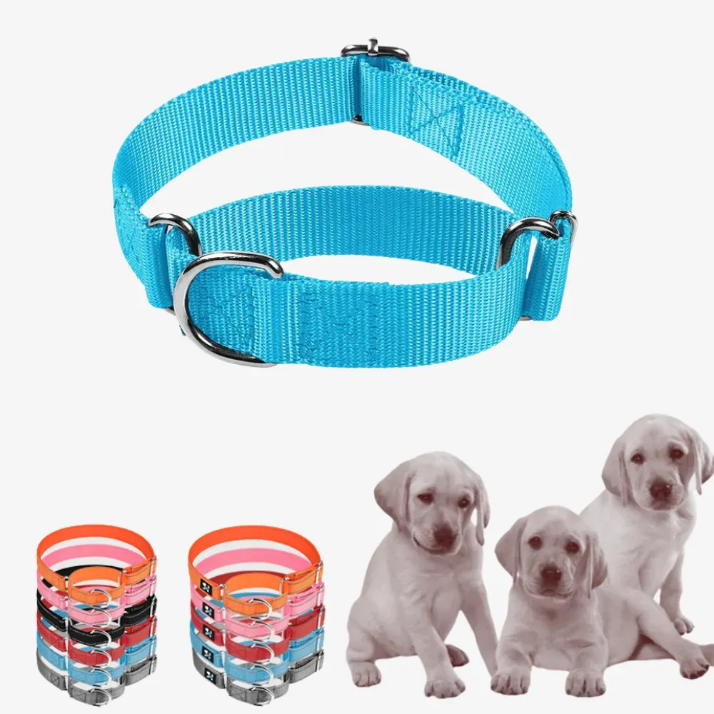 This collar is equipped with high-quality neoprene lining, providing soft comfort against the neck while remaining breathable and durable enough for daily use or training activities.
