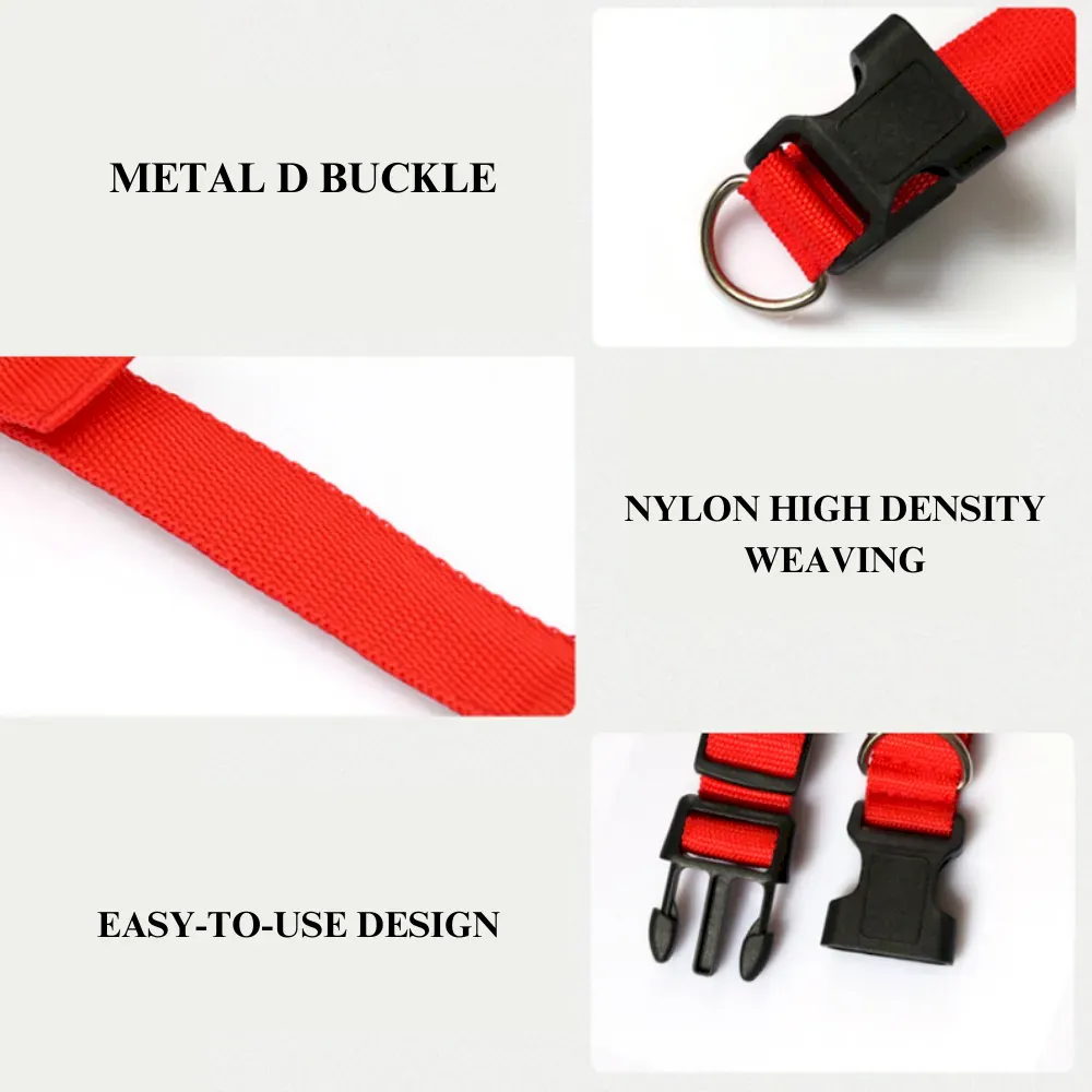 Safety dog collar with light