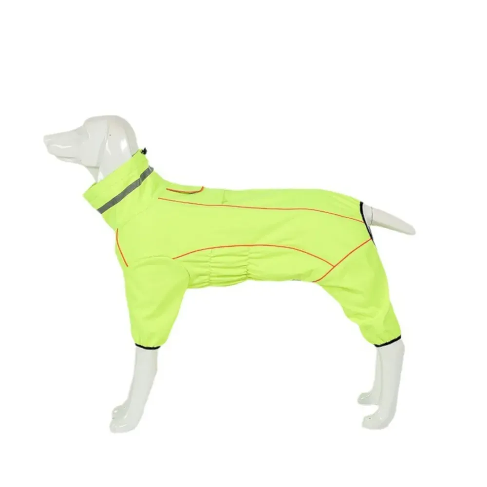 green dog warm suit green dog warm suit