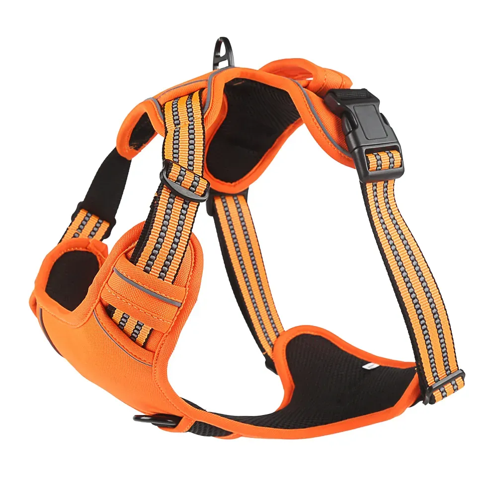 This harness offers versatility with its adjustable buckle, allowing for a secure and comfortable fit on pets of different sizes, catering to a wide range of customers and pet types.