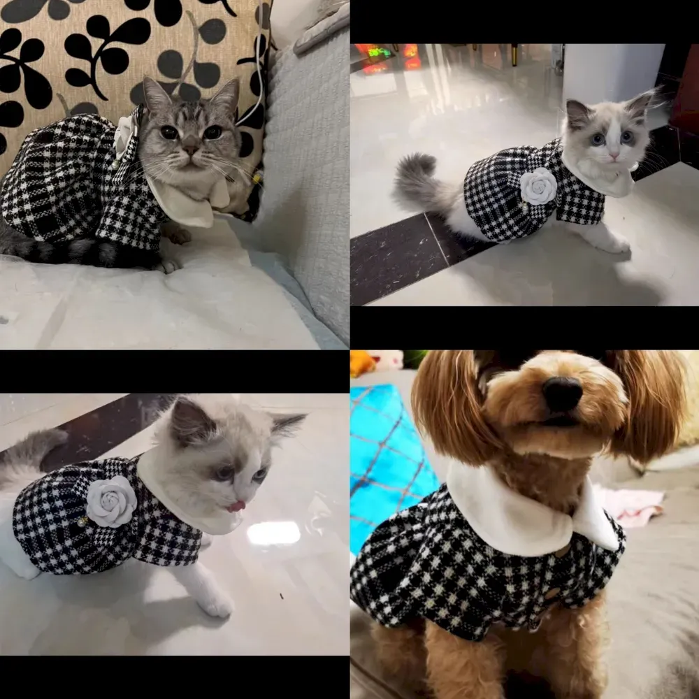 Pet clothing for winter