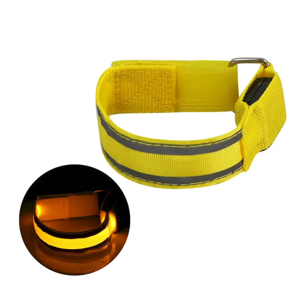 New Dog collar with light