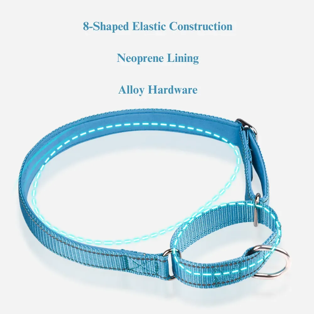 Ideal for businesses focusing on training, this collar is designed to help prevent explosive pulls and sudden movements, promoting obedience and comfort during training sessions.