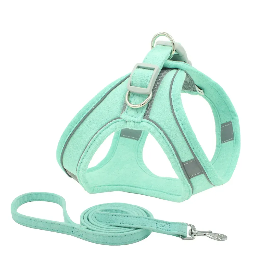 Pet walking harness Pet walking harness wholesale