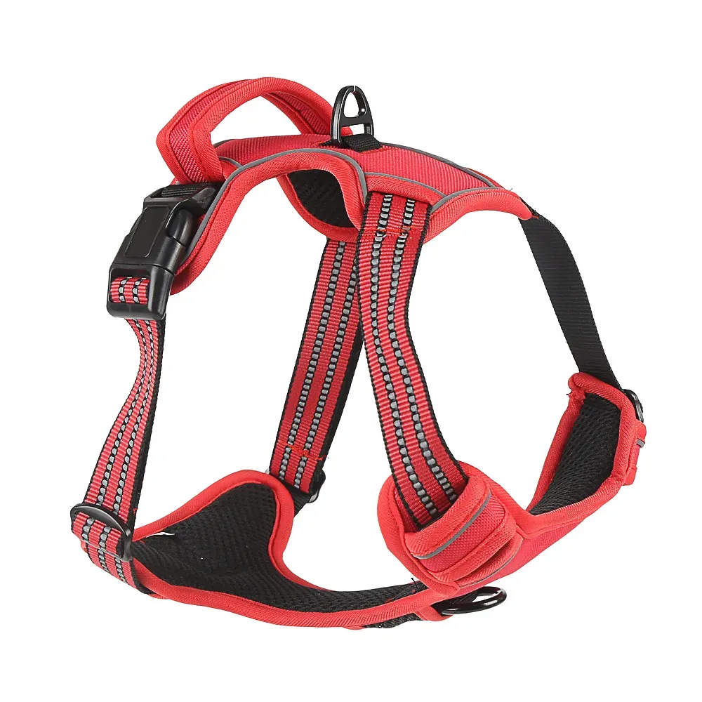 The thickened control handle provides extra grip, allowing pet owners to maintain control and comfort even in busy environments or during more intense walks.