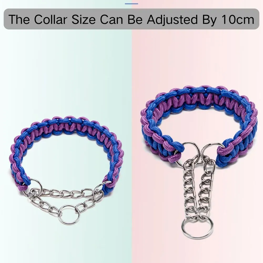 Comfortable dog harness for outdoor use