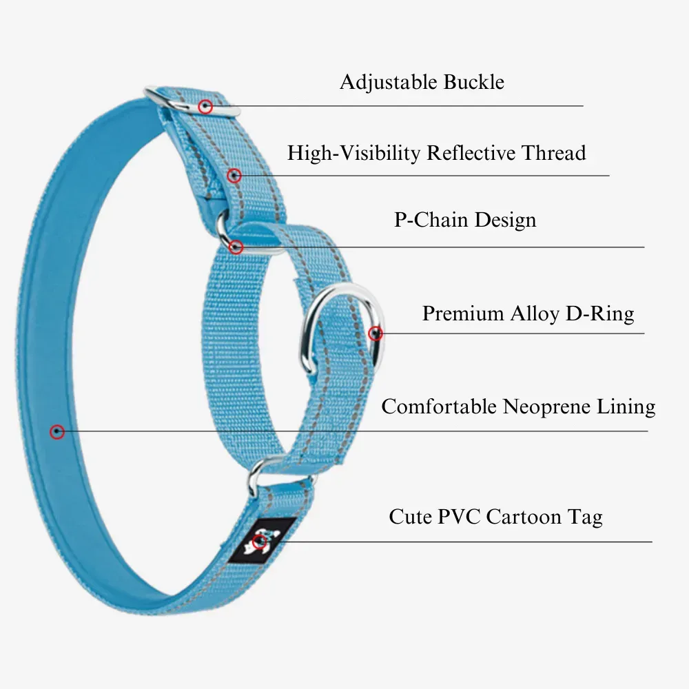 With reflective stitching for increased visibility, this collar enhances safety during night-time walks or training sessions, making it a practical accessory for businesses that prioritize safety.
