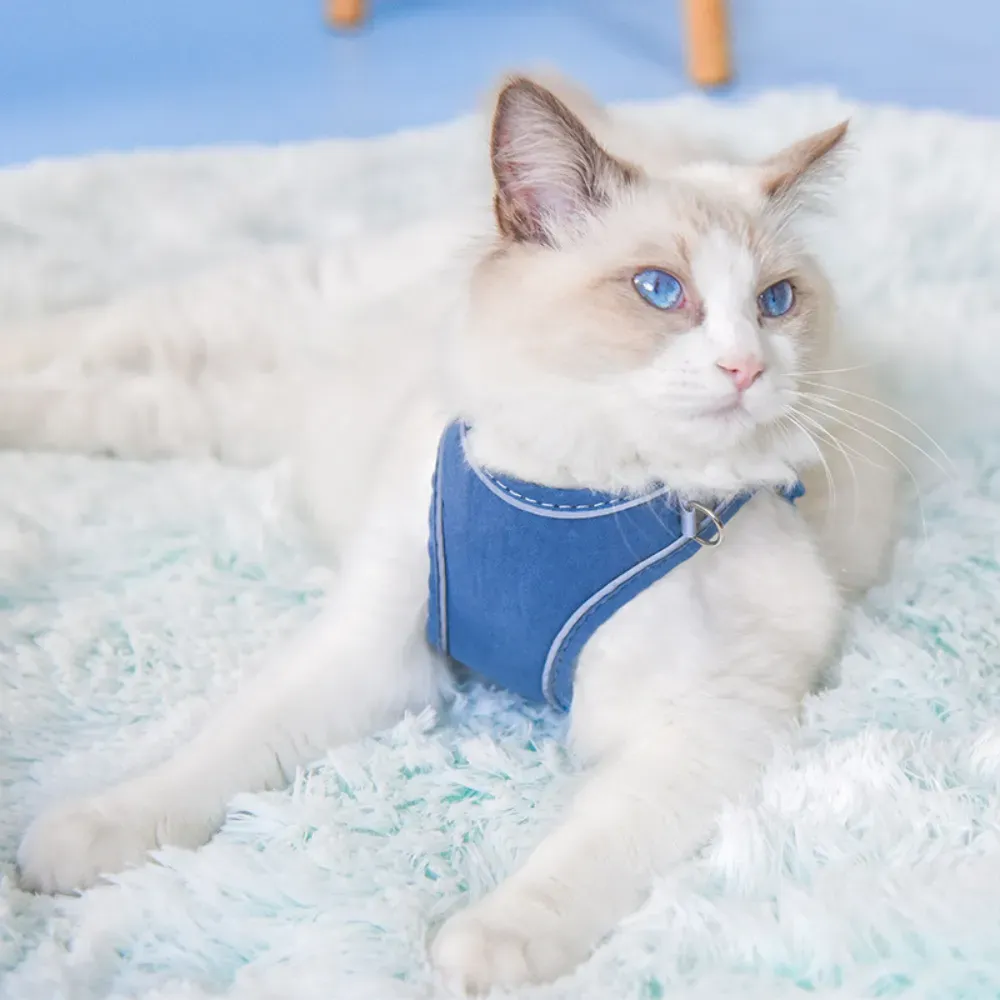 Winter pet harness Winter warm pet harness