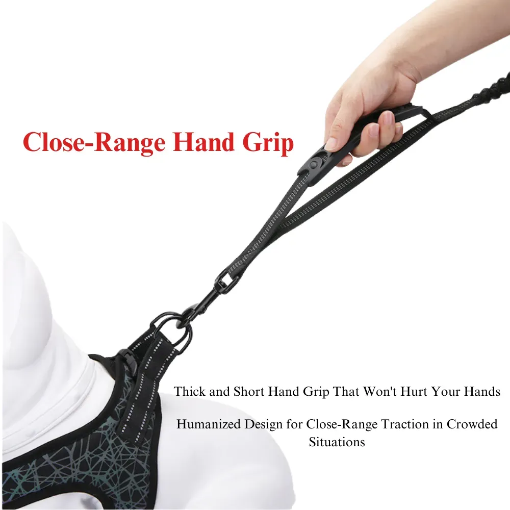 Designed for high elasticity, this leash helps absorb the force of sudden pulls, ensuring a smooth and controlled walking experience, making it an excellent addition to a pet accessories collection.