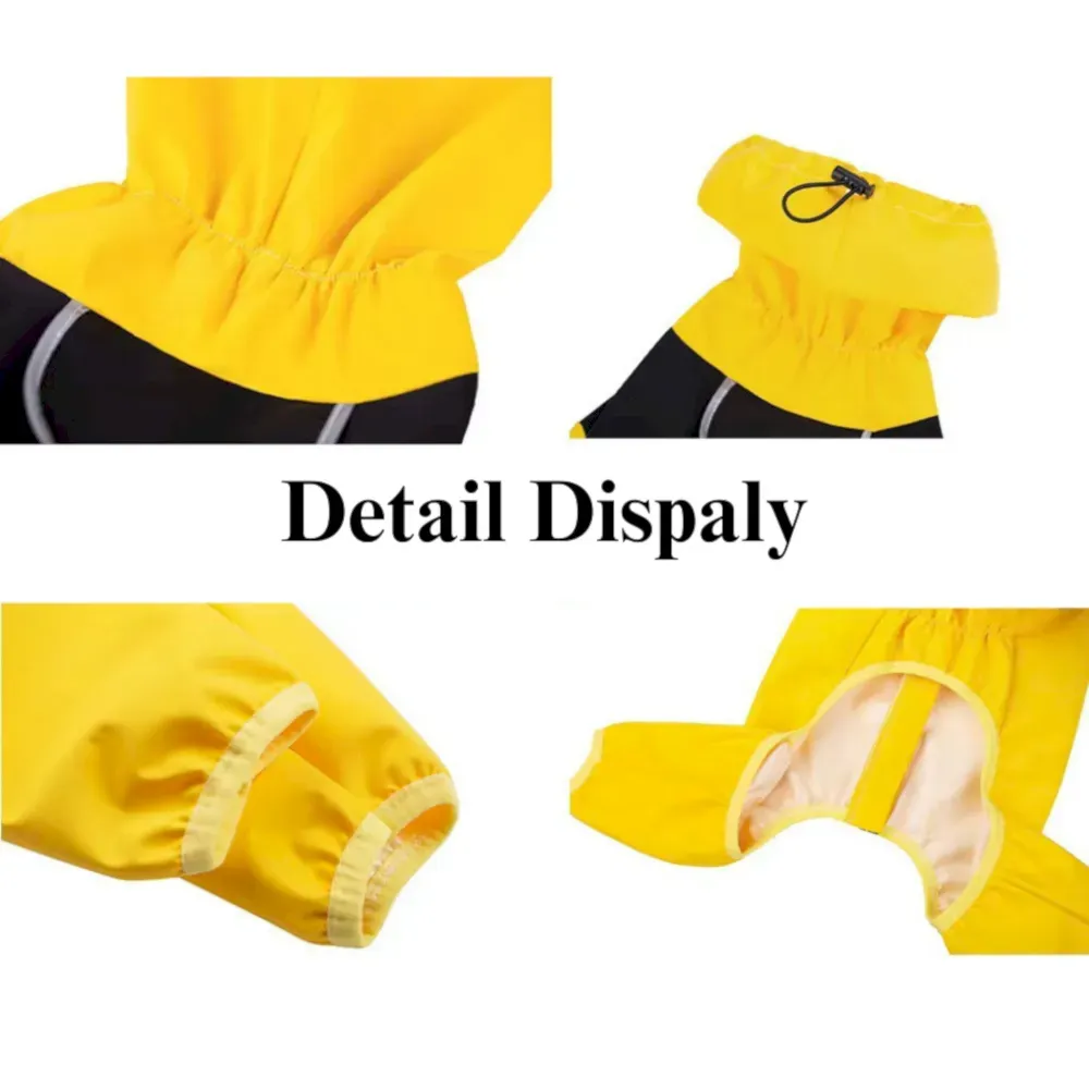 fully wrapped dog clothing