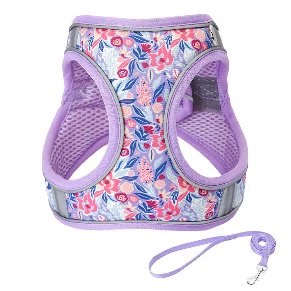 Breathable dog harness wholesale