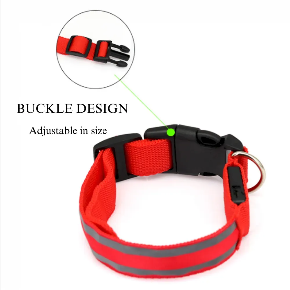 Visibility dog collar night walk