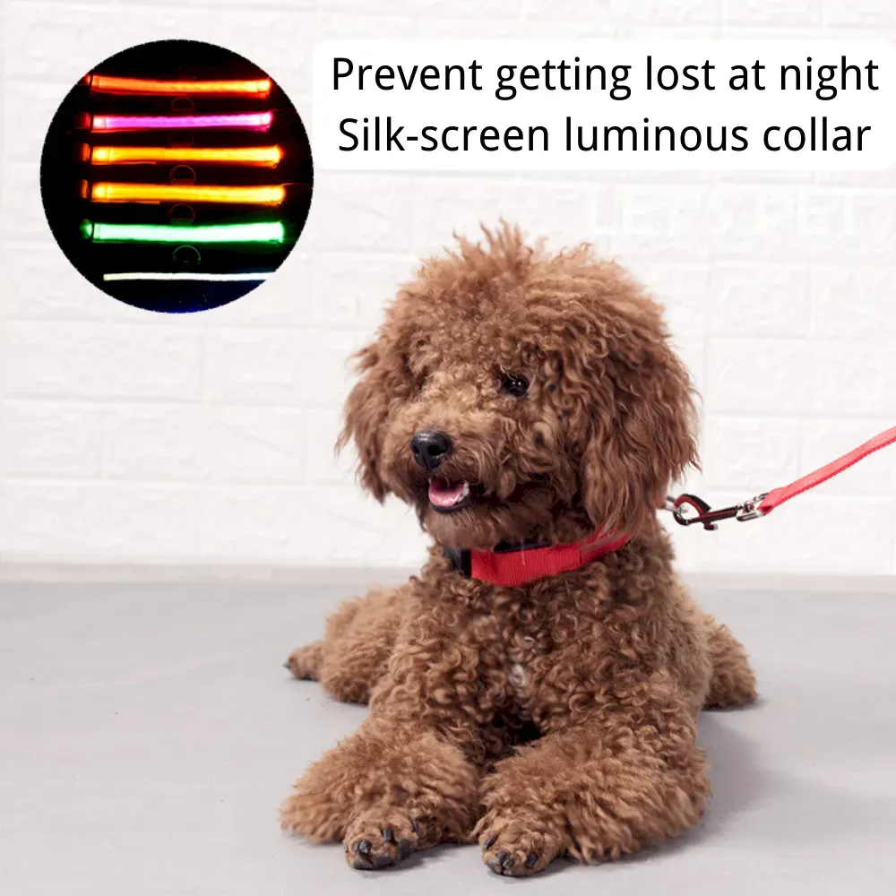 LED dog collar for night walk