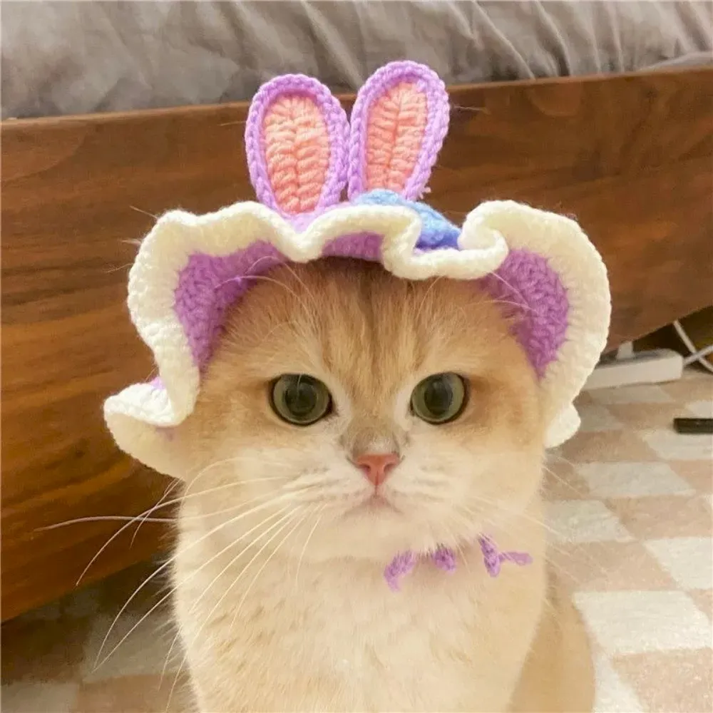 Cat hat for photoshoots Cat hat for photoshoots wholesale