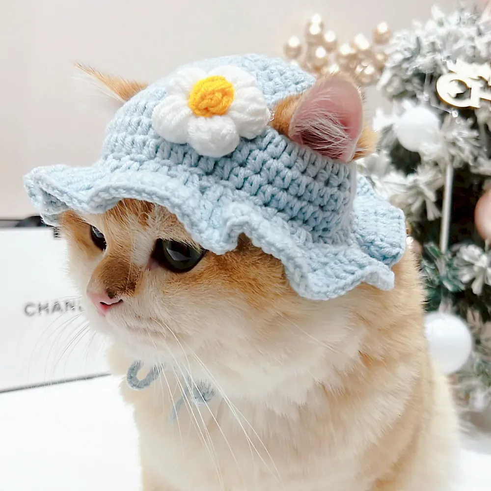 Pet cosplay hat Pet cosplay hat wholesale