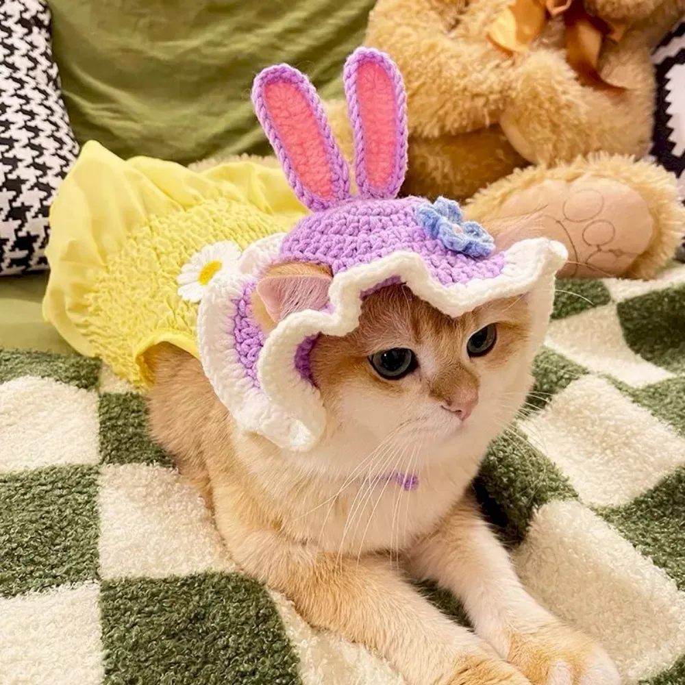 Pet photoshoot hat Pet photoshoot hat wholesale