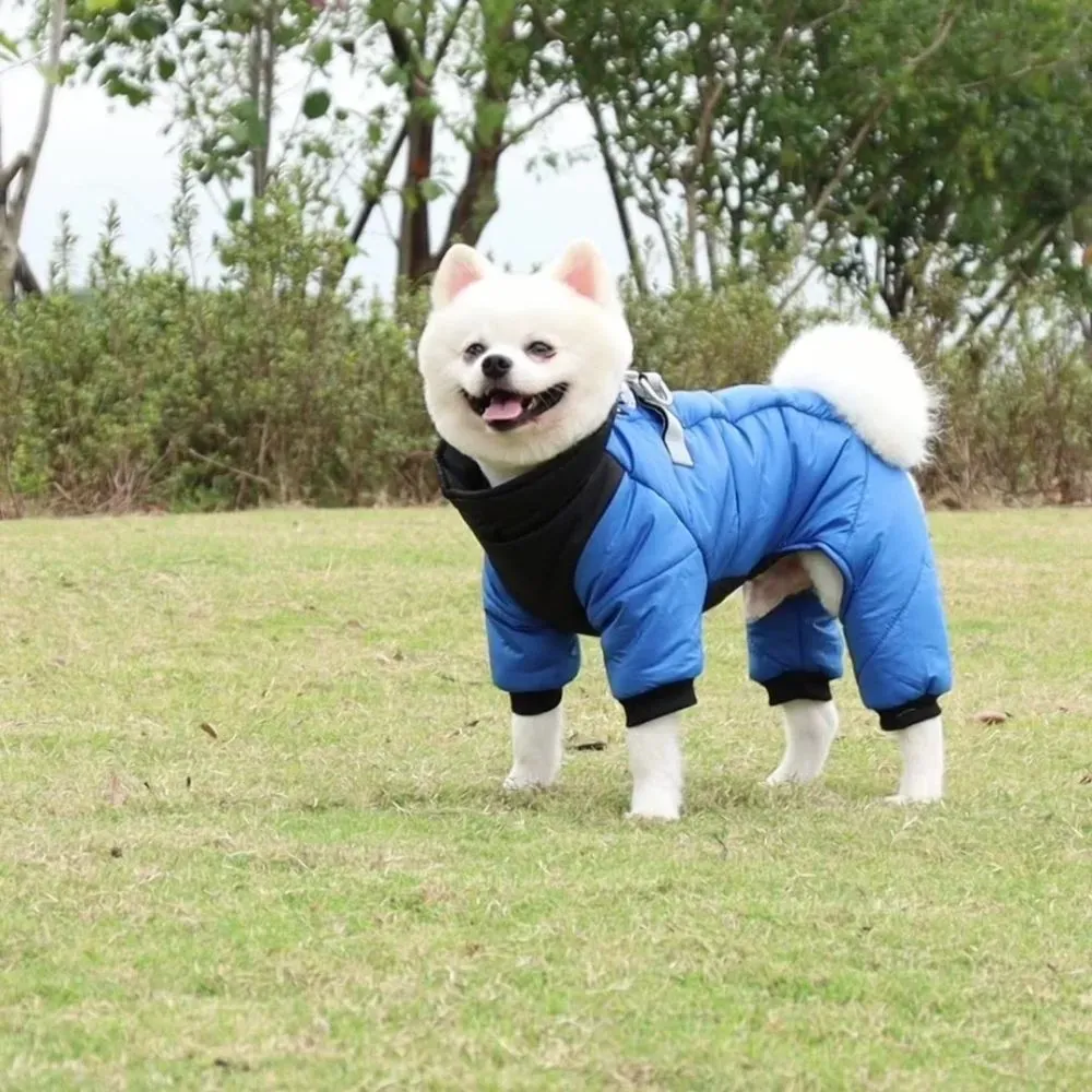 Hot Waterproof Dog Jackets