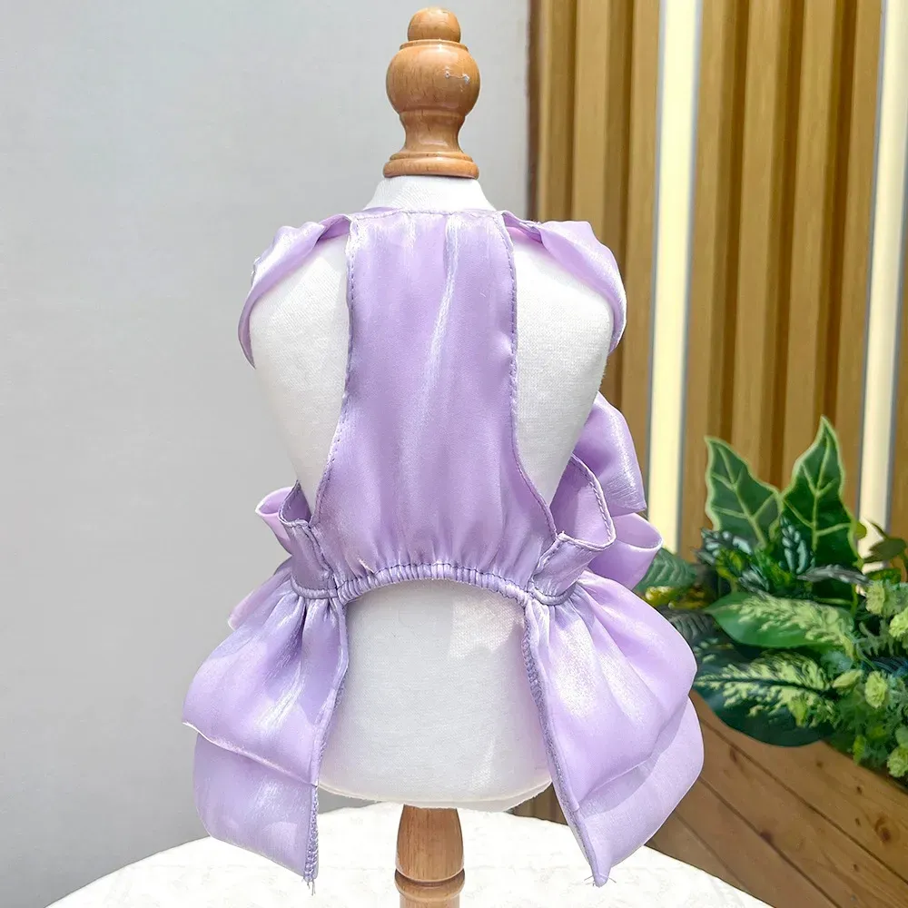 Pet dress for special events