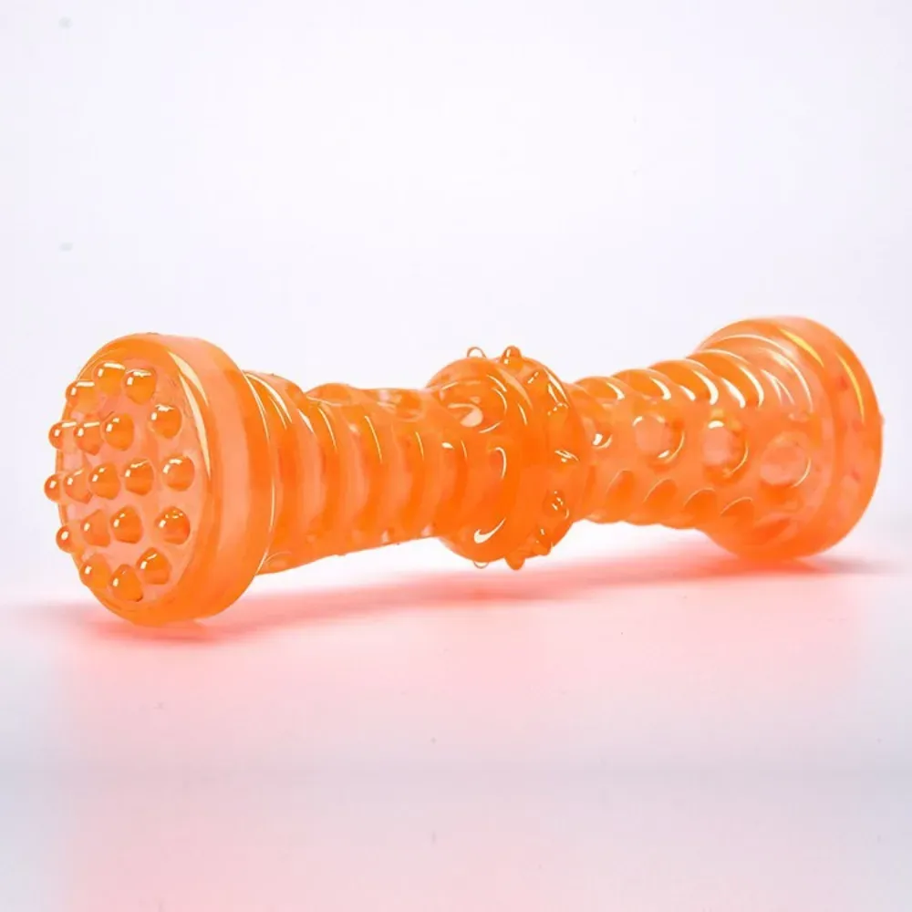 dog dental chew toy L