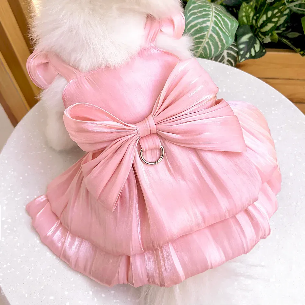French Bulldog clothing