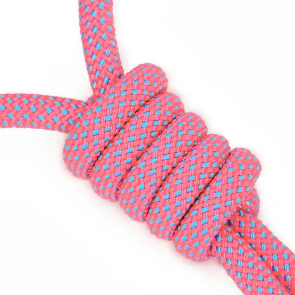 Interactive dog chew toys