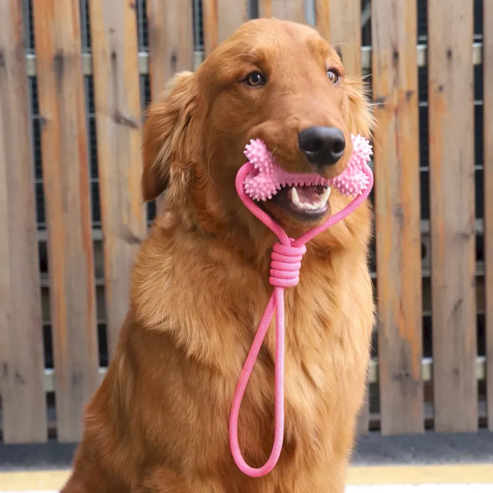 Non-toxic dog chew toys