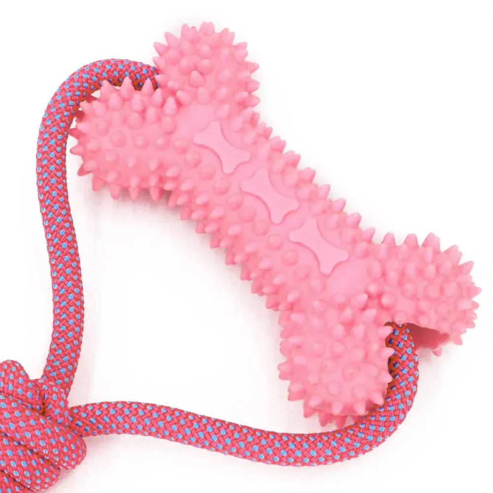 Long-lasting dog toys