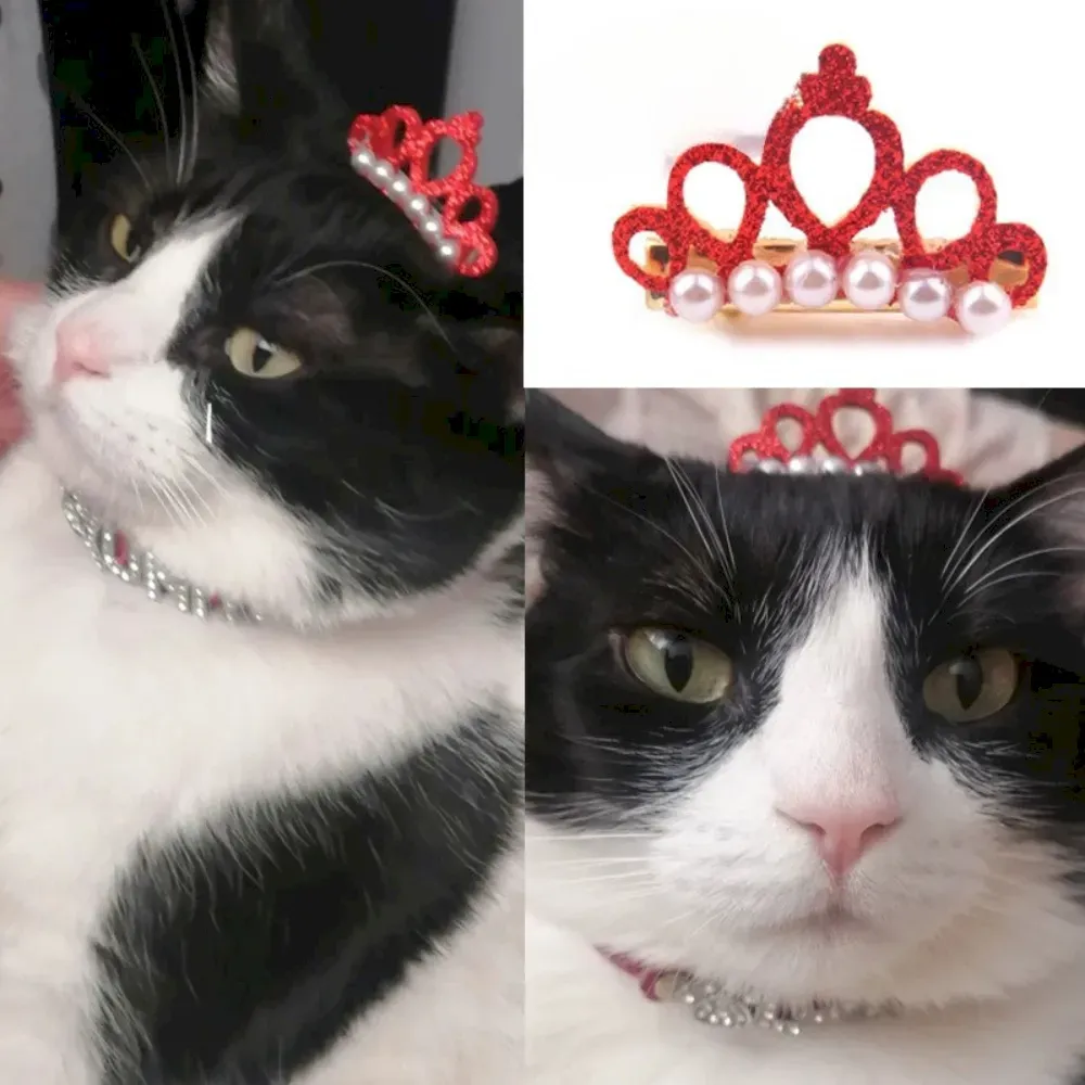 Pet headband for small dogs Crown - Style Pet Headband
