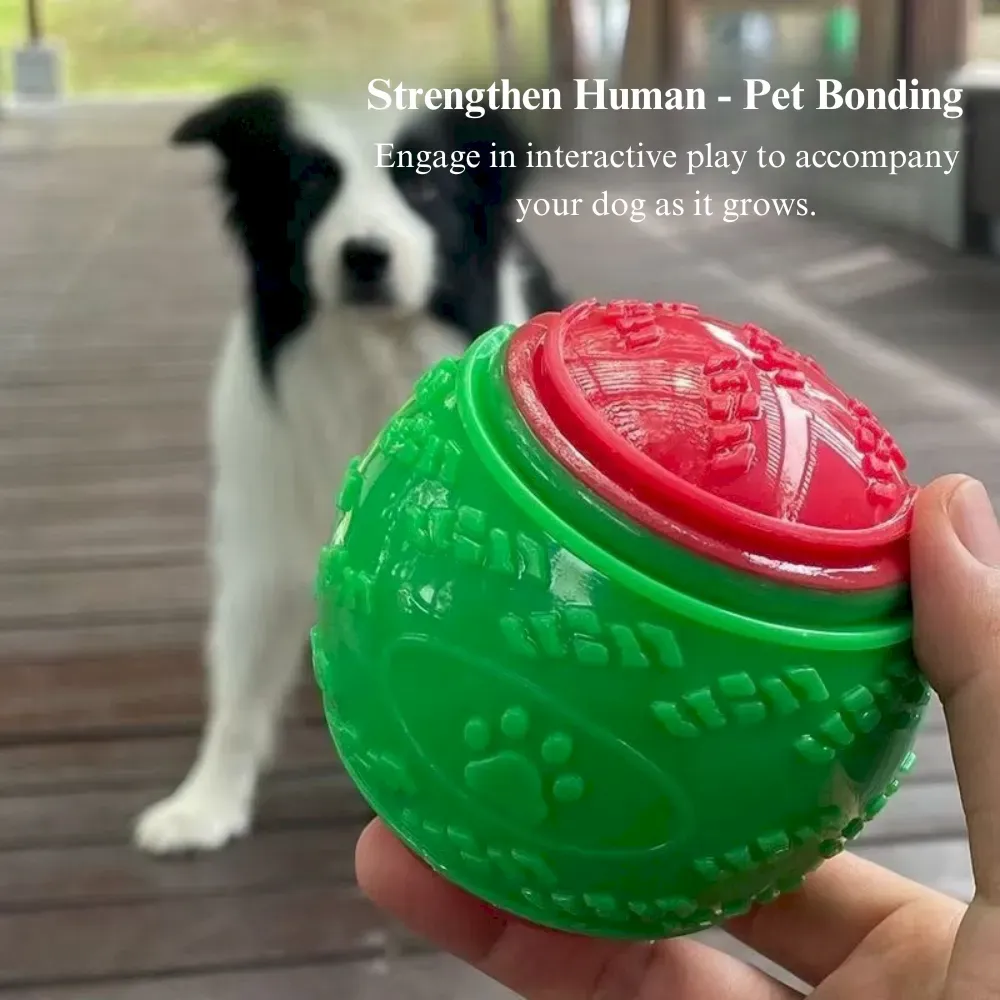Durable dog chew toys