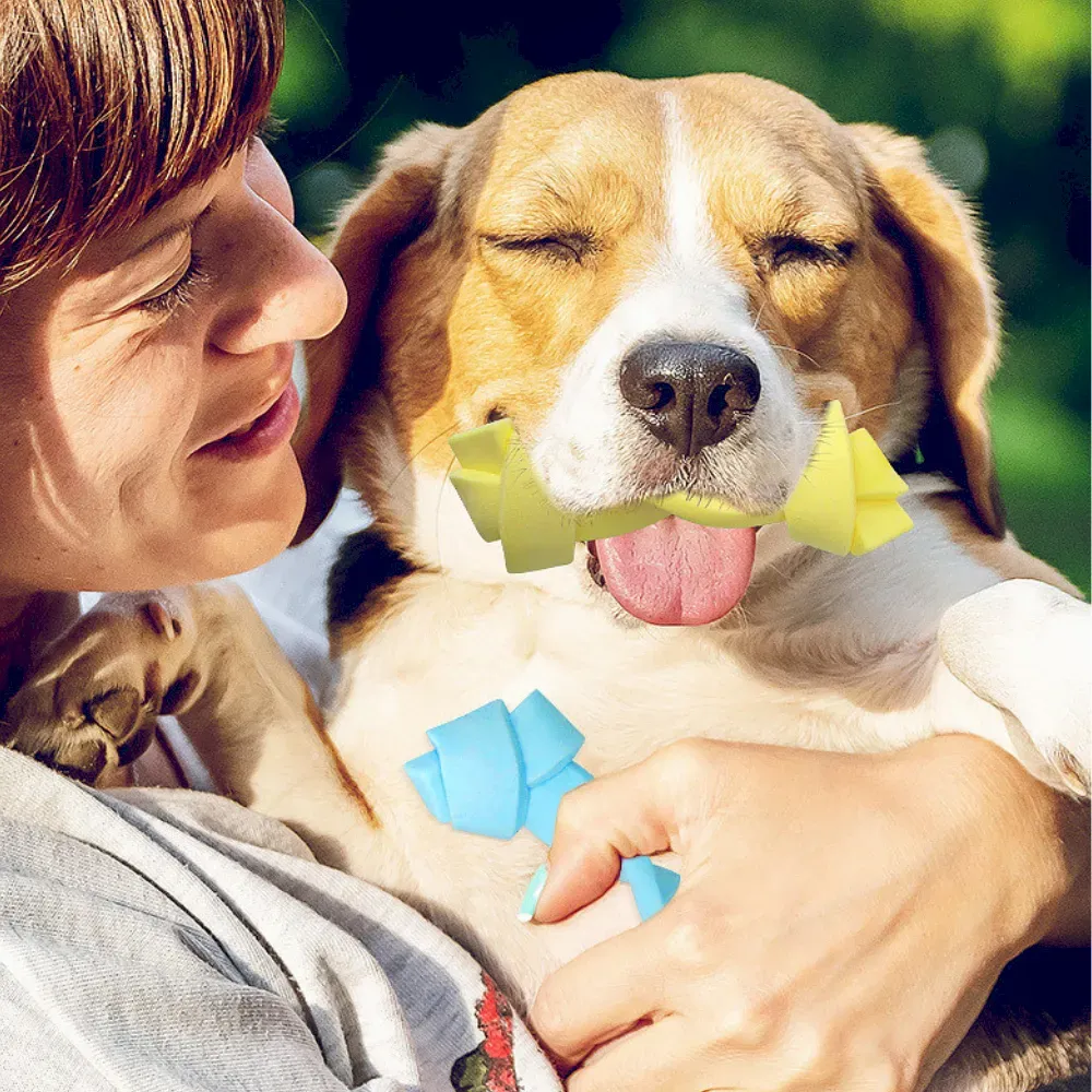 Stimulating dog chew toys