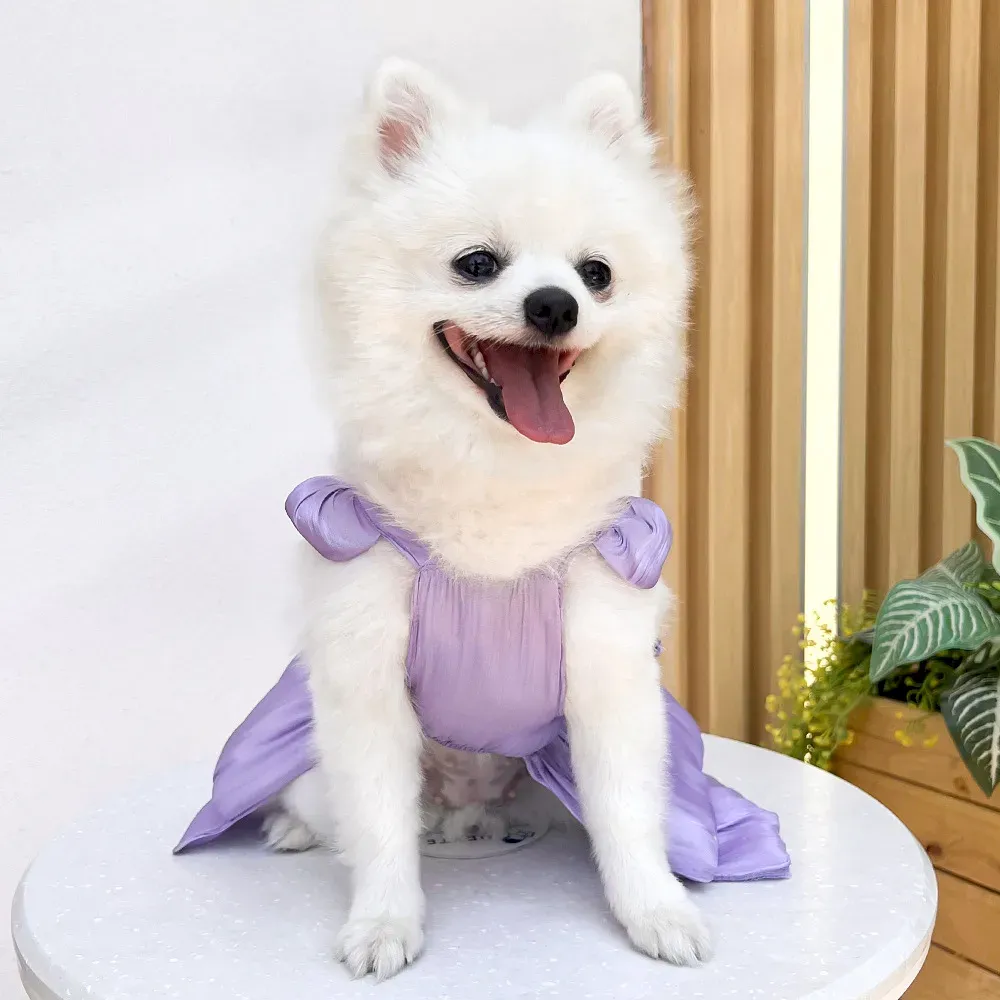 Leash attachment pet dress