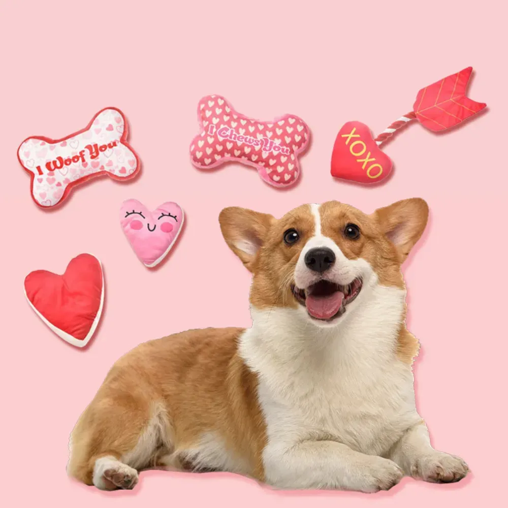 Keep your pet’s teeth healthy and their mind occupied with this plush Valentine’s Day toy, featuring a squeaker and durable design.