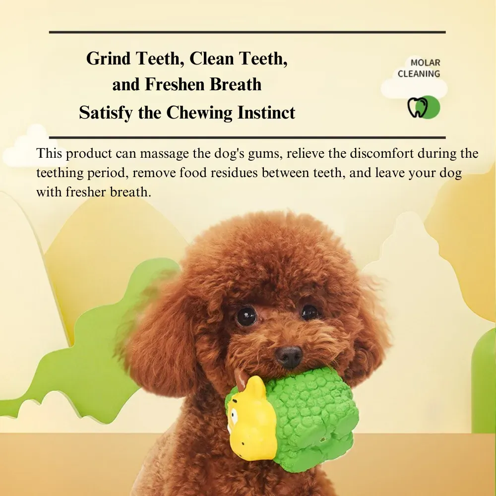 Durable chew toys for dogs