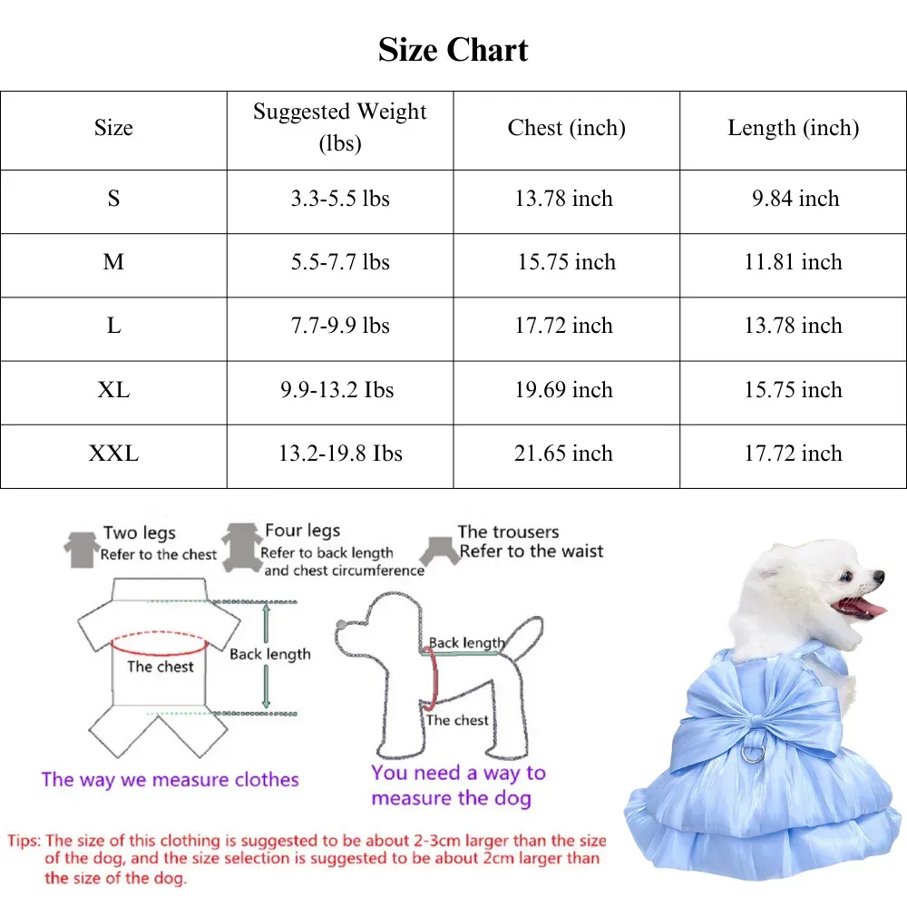 Fashionable dog outfits