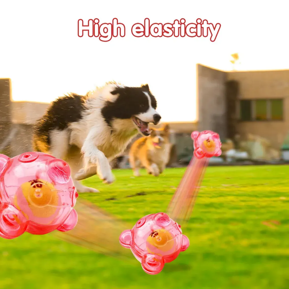 Medium Dog Interactive Squeaky Toy with Tennis Ball