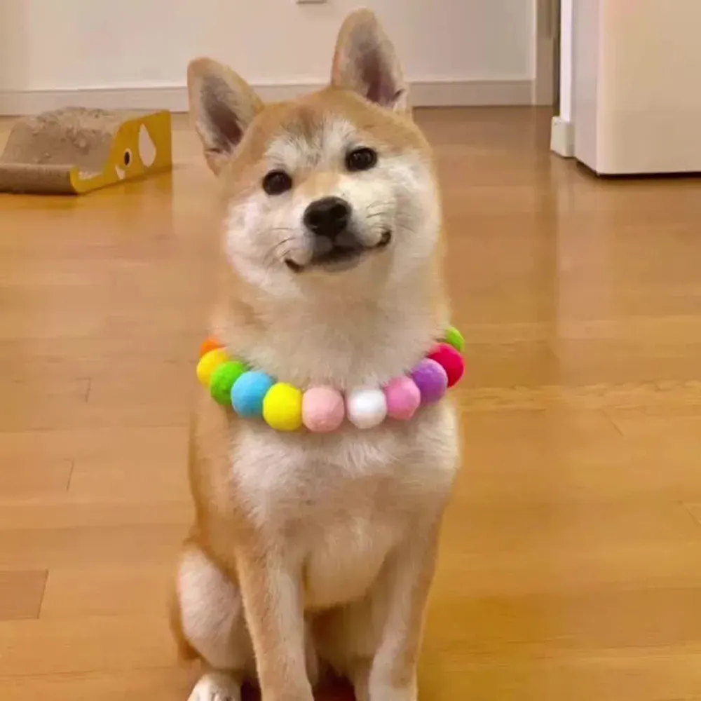 Made from durable and lightweight materials, this collar ensures long-lasting wear while remaining gentle on pets' skin. Pet businesses can offer this collar to customers who prioritize comfort and quality.