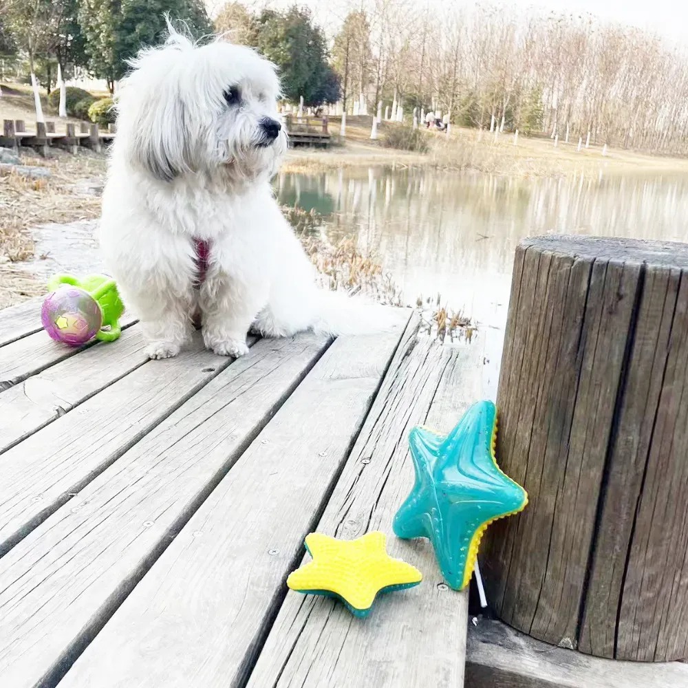 Floatable Dog Toys