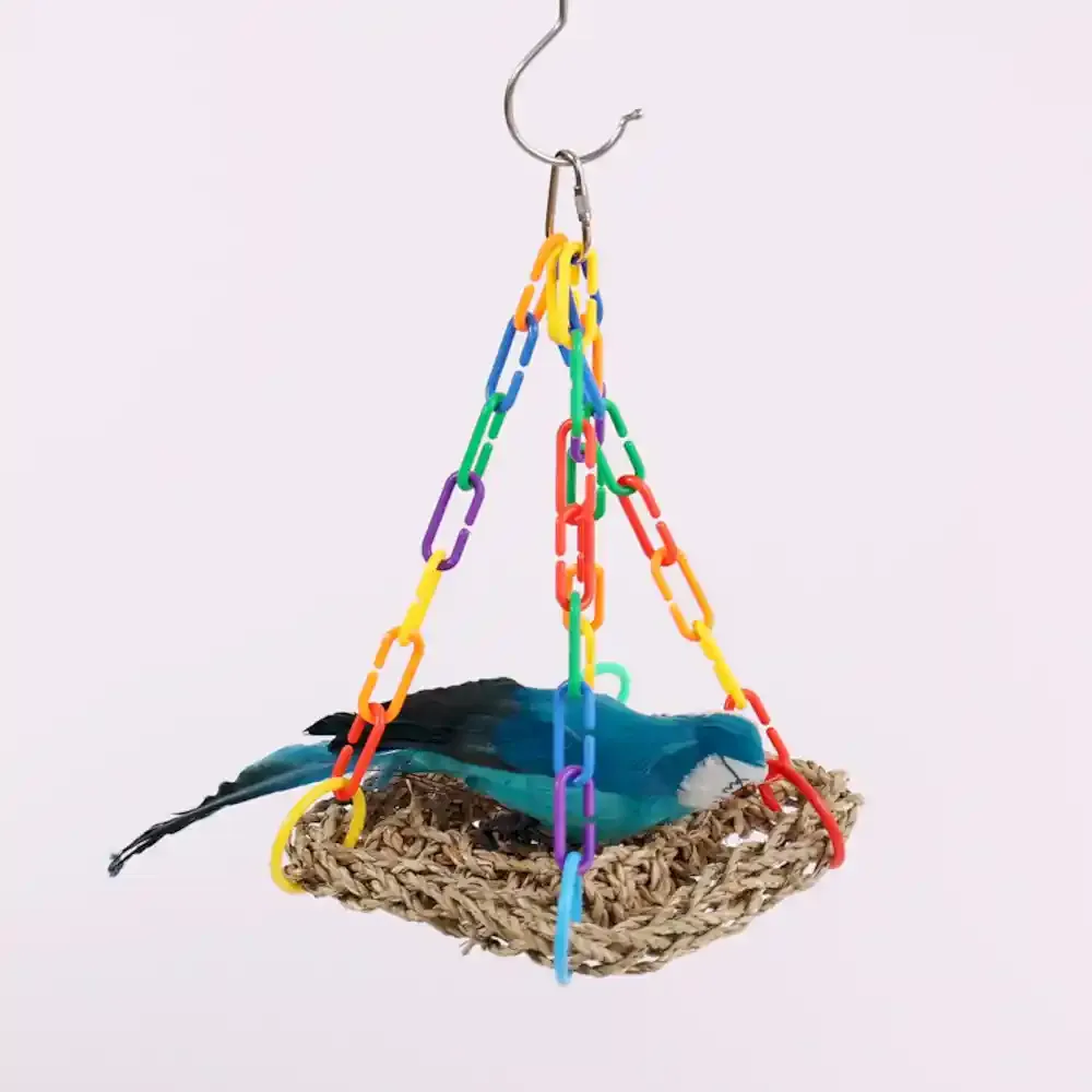 Small Pet Bird Toy Supplier